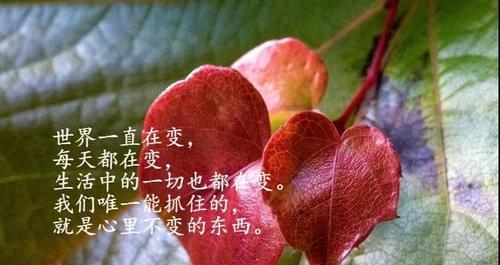 一次意外的相遇（那一幕，让我重新理解了生命的意义）