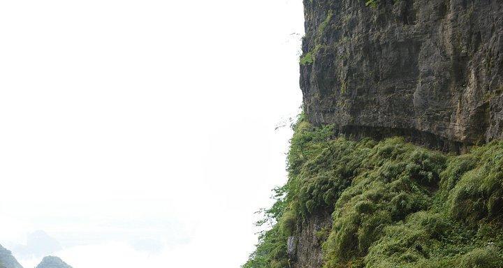 从一个微笑的故事看人生之路（从一个微笑的故事看人生之路）