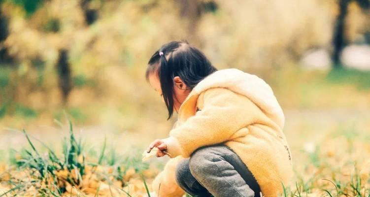 生命的美好（源于生活，成就自我）