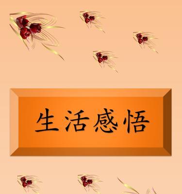 人生感悟：探寻生活的真谛