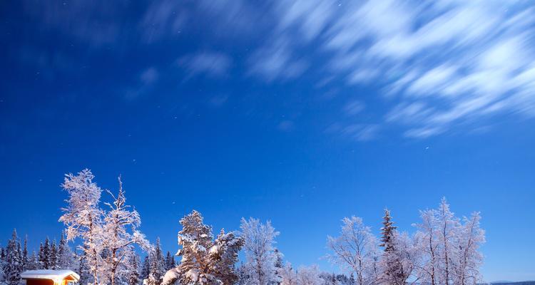 WinterWonderland:TheBeautyofaColdSeason