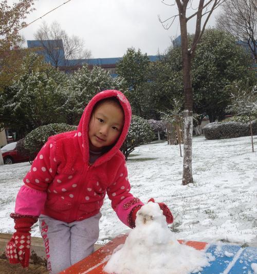 雪人的成长历程（一个有趣的冬日故事）