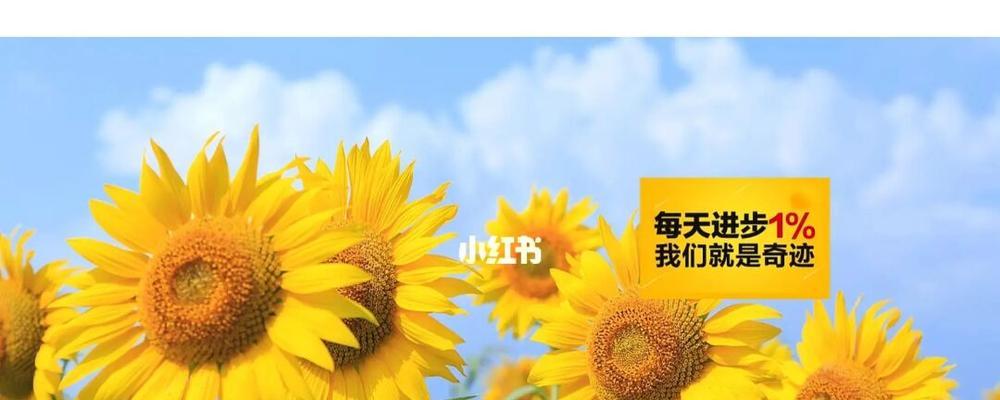 普通人的奋斗路（普通人的奋斗路）