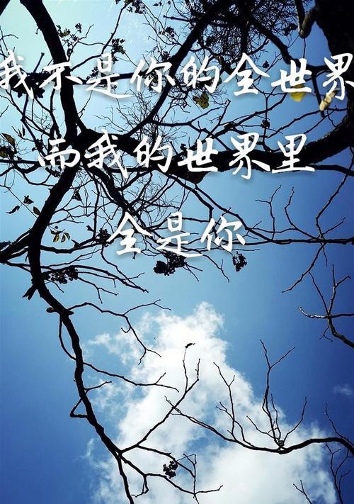 为你在乎（用心守护的爱情故事）