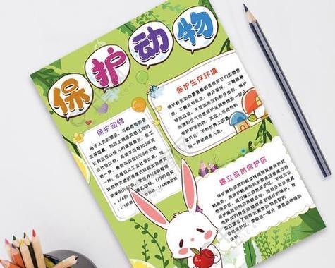 小动物的守护者（一个为小生命而战的人）