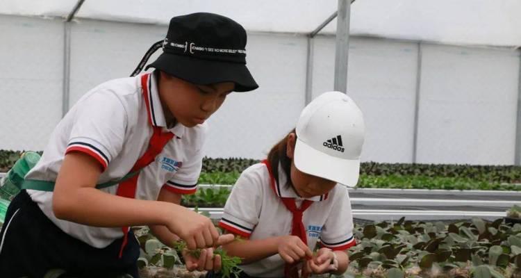 一个梦想的实现与追寻（一个梦想的实现与追寻）