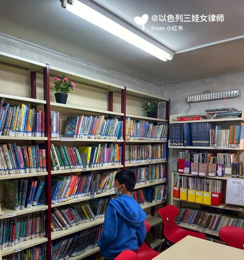 爱上书的我（阅读让我成为更好的自己——一个书迷的心路历程）