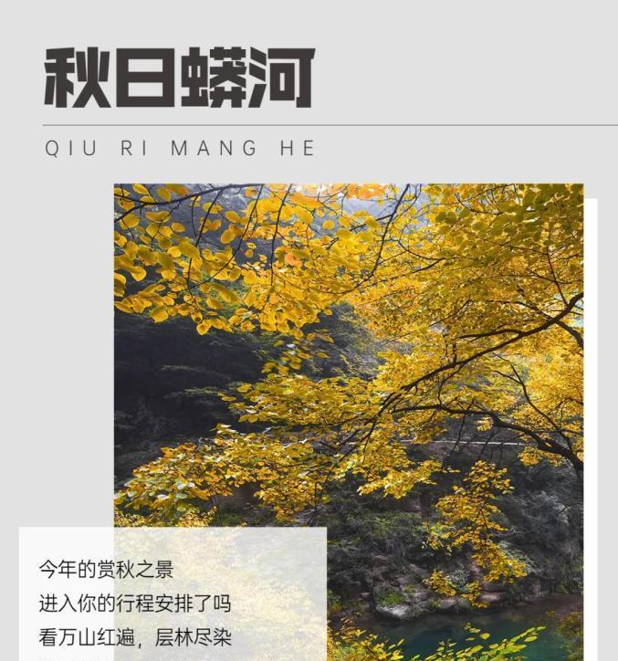 邂逅美好的那一刻（美妙旅程上的幸福感）