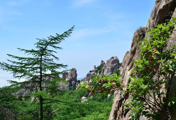游览黄山