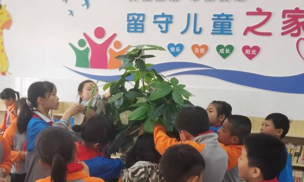 体味生命中的真正含义（一次不同寻常的旅行）