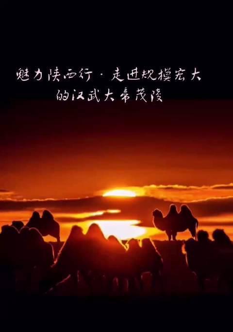 智者谋略（阿伟的追求之路）