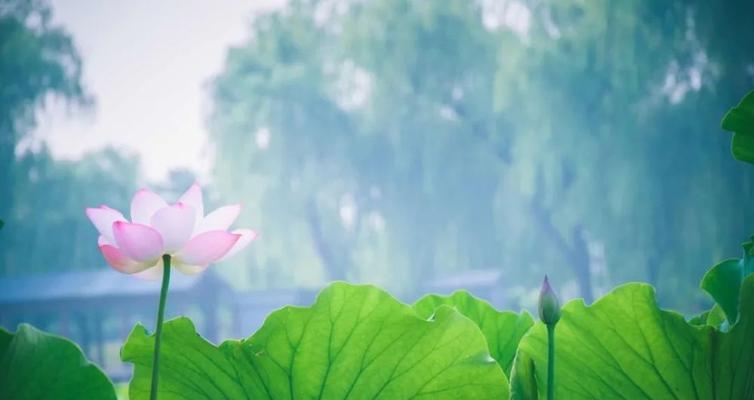 初夏奇遇记（一场青春的狂欢）