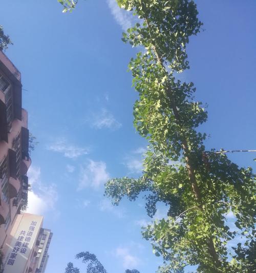 充盈的内心（渴望拥有却不被物质束缚的小明）
