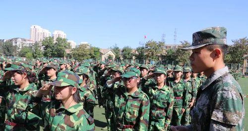 勇敢坚强的中国人（他们的故事）
