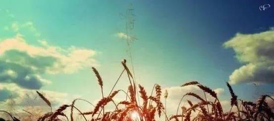以走好每一步，做好每件事为信念（坚持不懈，终将获得成功）