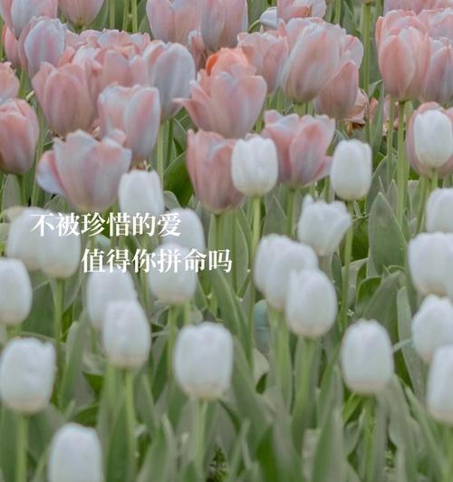 珍惜身边的人，度过美好的人生（一个关于珍惜爱情和亲情的小故事）
