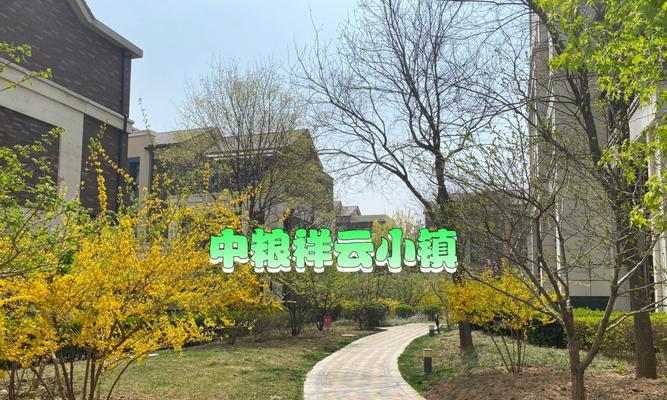 祥云小镇，我心中的好地方（探访祥云小镇，感受不一样的生活）