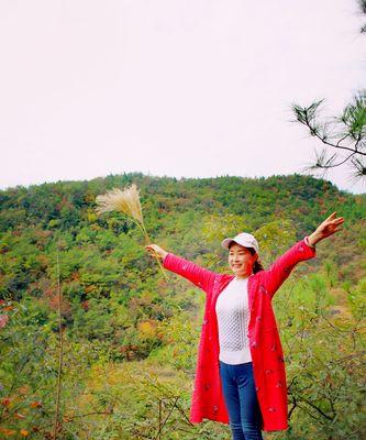 登高望远（云淡风轻）
