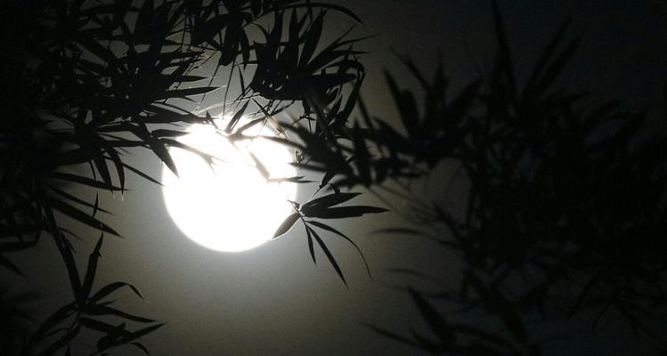 月是故乡明，心为天下忧（一个人的奉献精神）