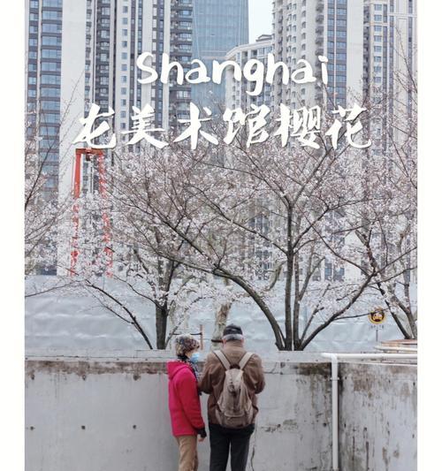 美在学问（一个少年的成长故事）