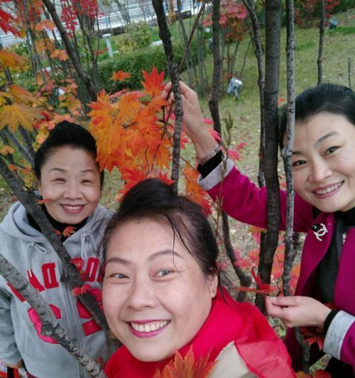 回忆中的幸福（一个女孩的成长故事）
