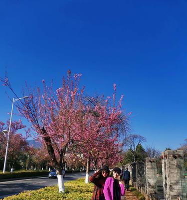 冬日阳光暖心（冬天里的快乐）