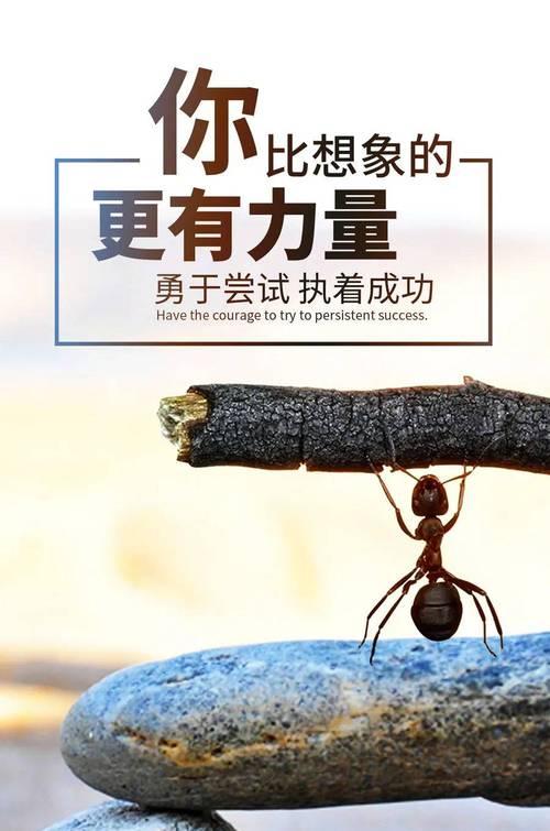 小小努力，大大成就（生活需要努力）