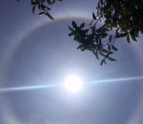 太阳之子（一个平凡人的成长故事）