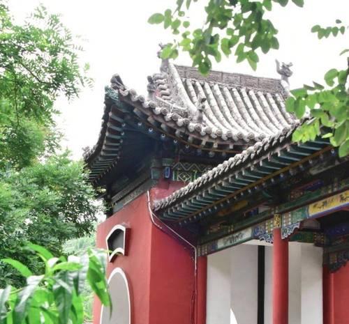 花开花落，人生轮回（一枝莲花，九转轮回）
