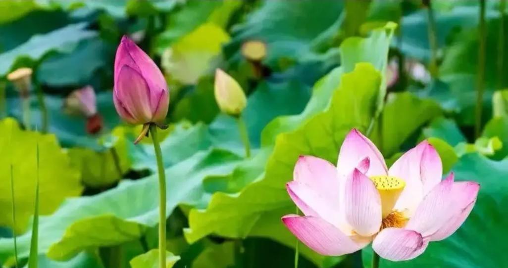 那个美好的一天（一场别开生面的旅行）
