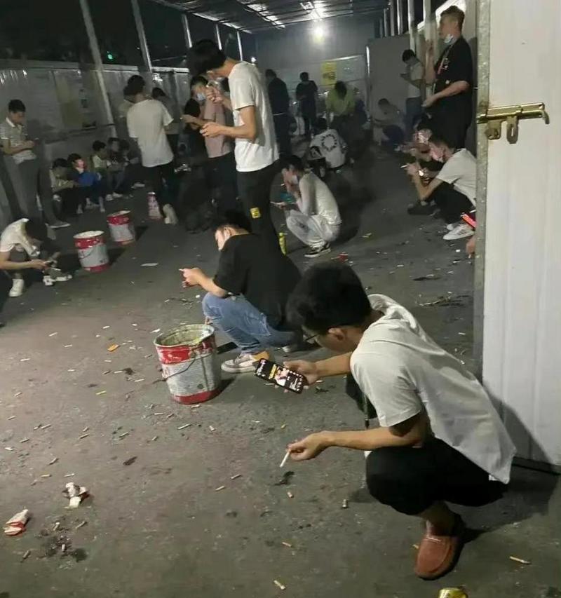 生命的奋斗与不懈追求（生命的奋斗与不懈追求）