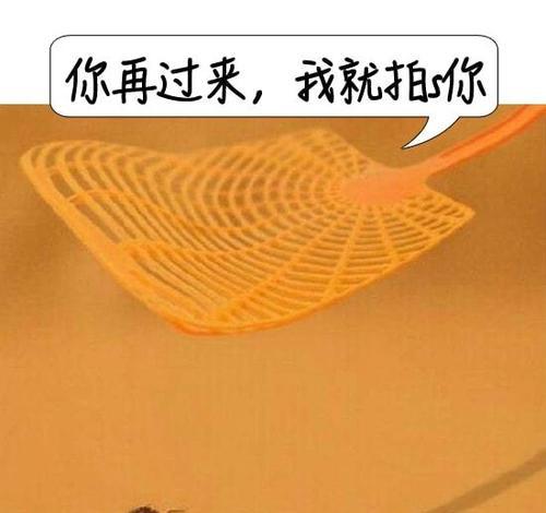 一只苍蝇的无头之旅（一只苍蝇的无头之旅）