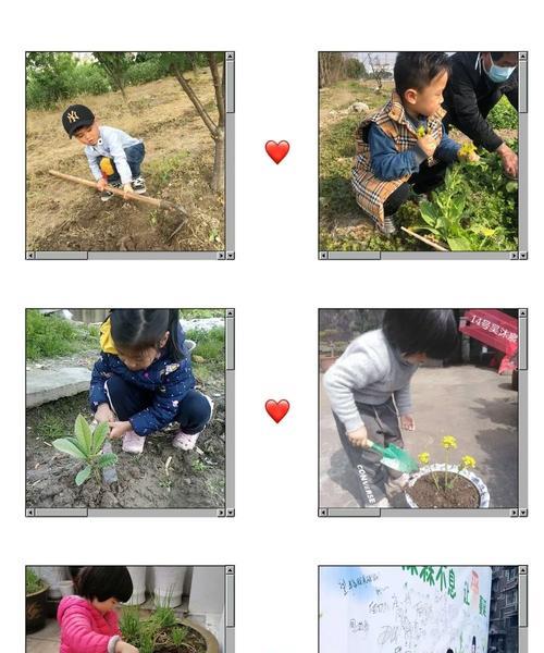 花草之爱（以心相守，以手相护）