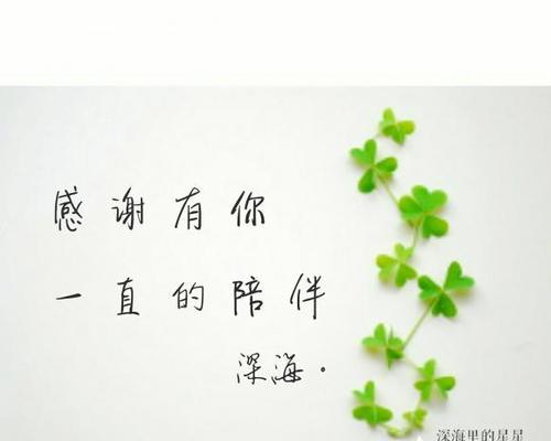 感恩有你陪伴（一个陪伴着我的人，让我拥有了最美好的回忆）