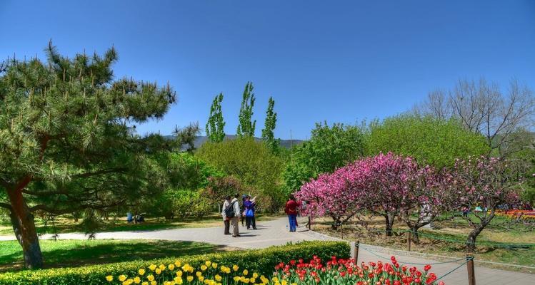 花开满园，人间仙境（花开满园，人间仙境）