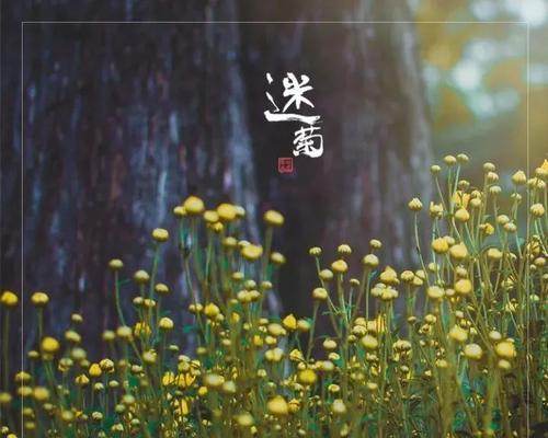 生命的归宿（寻找自己的价值）
