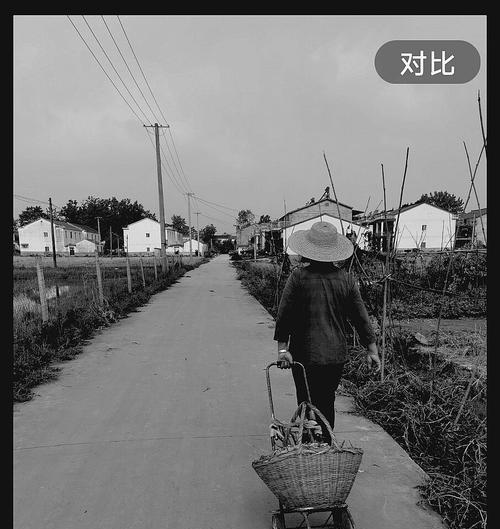 母亲的背影（她的坚韧与无私）