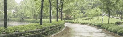 后悔的味道（尝过苦头，才懂得珍惜）