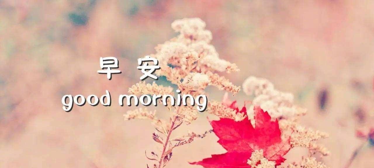 心灵角落中的幸福（积极心态，拥抱幸福）