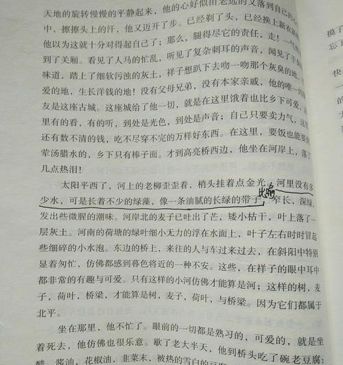一个人的追求（以骆驼祥子为例）