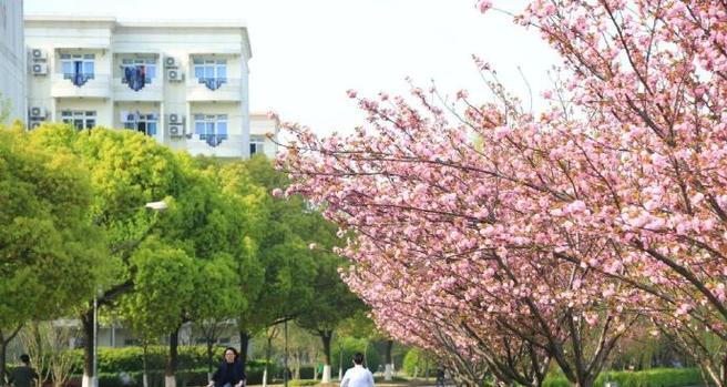 坚守信念（一位老师的故事）