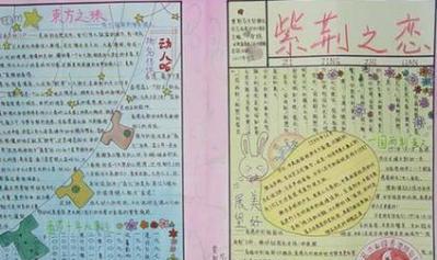 宽容是美德（遇到不同的人，学会宽容）