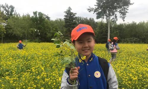 保护自然，从我做起（小明和他的朋友们的环保之旅）