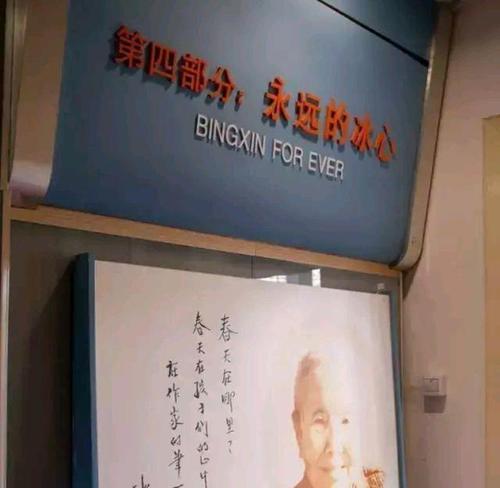 我的童年：珍贵的回忆