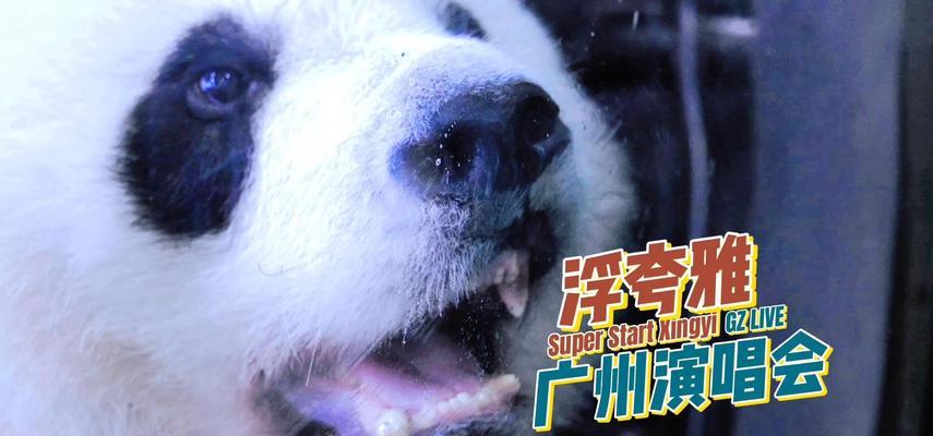 一个小女孩的冒险之旅（一个小女孩的冒险之旅）