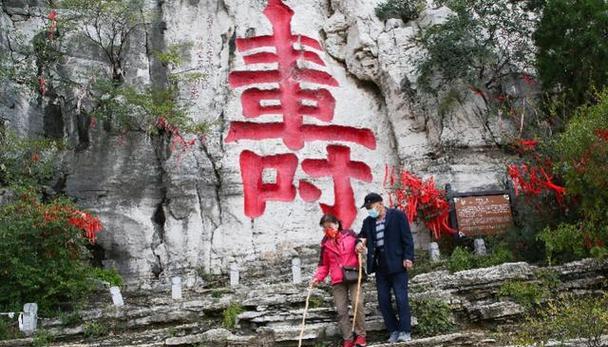 感恩之心，孝亲敬老（一只狗的故事）