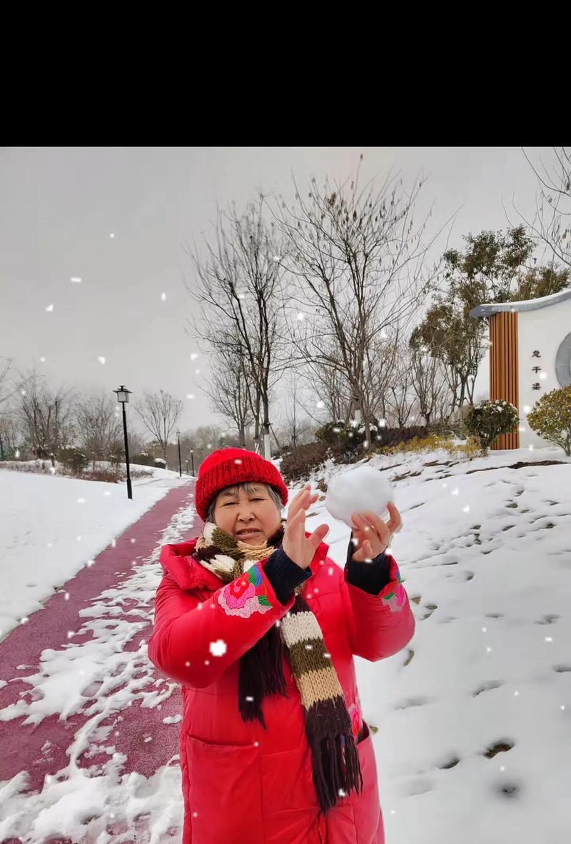 瑞雪兆丰年（一个农民的奋斗史）