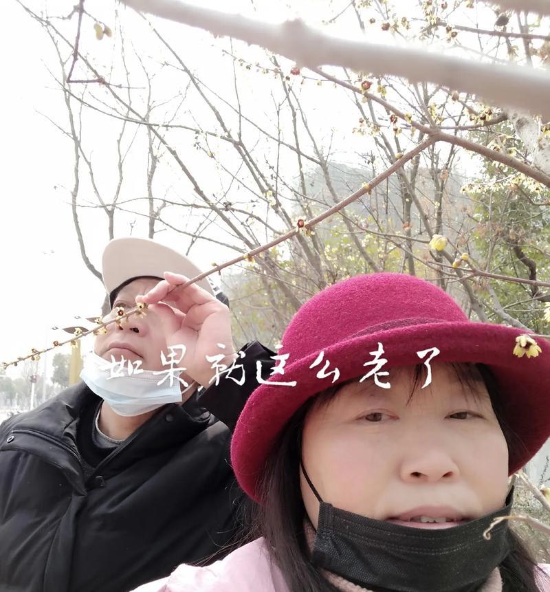 岁月无情，青春不在（一个女孩的成长故事）