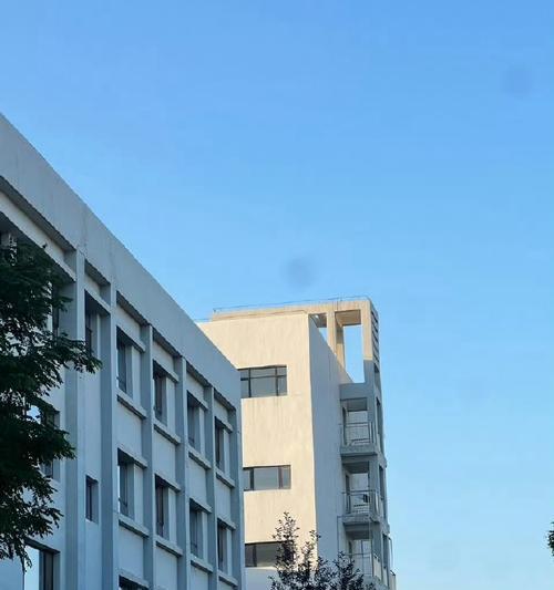 阳光下的小幸福