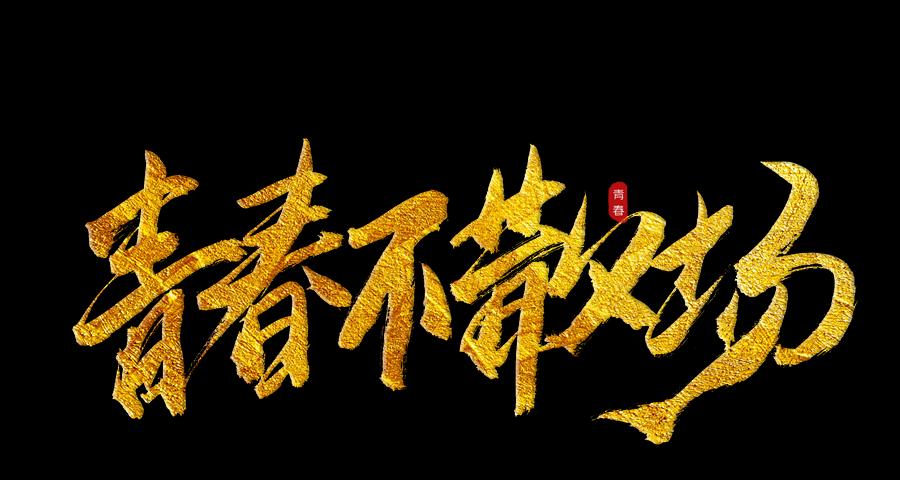 青春绽放，梦想飞扬（一个年轻人的音乐之路）